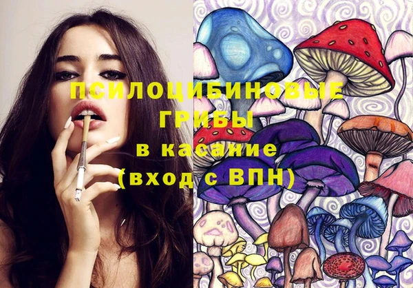spice Нея
