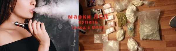 СК Новодвинск