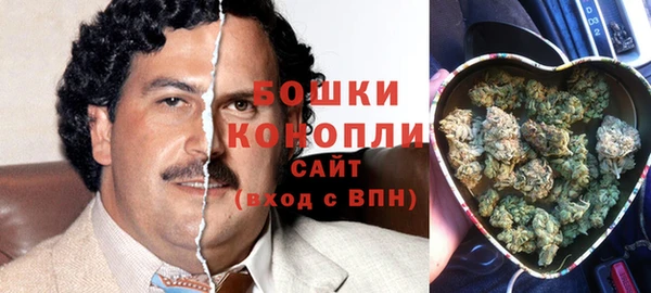 spice Нея