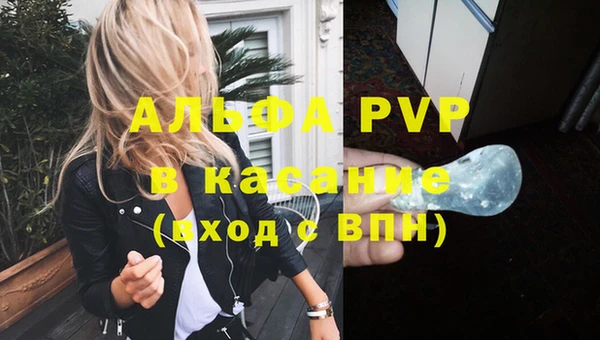 сатива Инсар